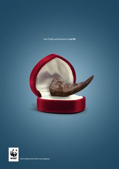 an advertisement with a fake animal's head in a red velvet box on a blue background