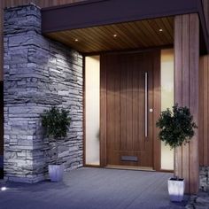 an entrance to a building with two potted plants