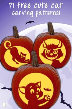 three pumpkins with cats and bats on them