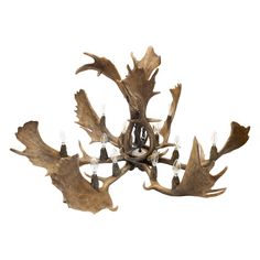 an antler's head chandelier is shown against a white background