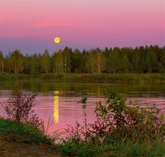 the moon is setting over a body of water with trees in the background and pink sky