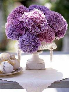 purple and white flowers in a vase on a table with seashells around it