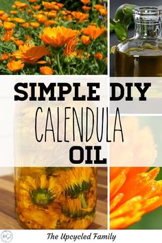 The calendula flower has many AMAZING benefits. How to make your own healing calendula oil. This calming calendula herb is the natural answer you need for skin, wounds, acne, burns, cut, scrapes, rashes and so much more! #calendulaoil #diyskincare #calendulaoildiy #herbalremedies #medicinalherbs #calendulauses #howtomakecalendulaoil #calendualoilbenefits Flower Healing, Face Mask Diy, Herbal Skin Care, Flower Face, Calendula Flower, Mask Diy