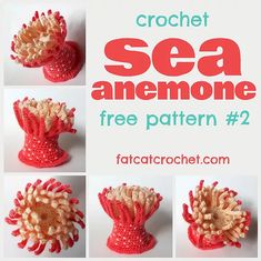 crochet sea anemone free pattern with instructions to make it easy and fun