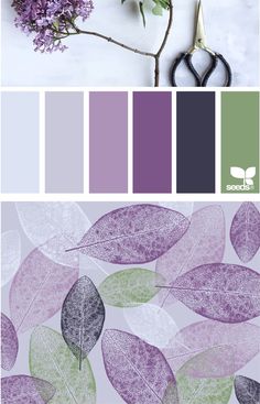 the color scheme is purple, green and white with leaves on it's side