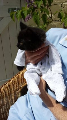 a man is holding a black cat in his arms and covering it's face