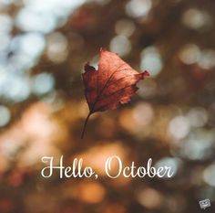 a red leaf with the words hello, october written on it in front of a blurry background