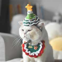 a white cat wearing a green and red hat on top of it's head