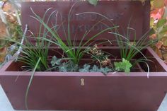 a planter filled with lots of green plants