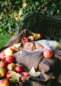 a baby is sleeping on a blanket next to some apples in the grass and leaves