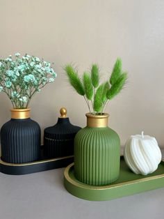 three vases with plants in them sitting on a shelf next to each other,