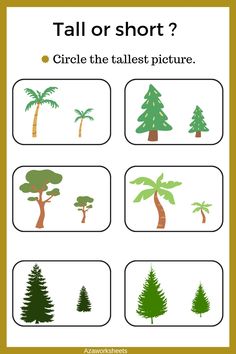 a printable worksheet for children to learn how to cut and color trees