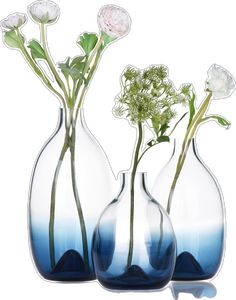 three glass vases with flowers in them on a white background, one is blue and the other has green leaves