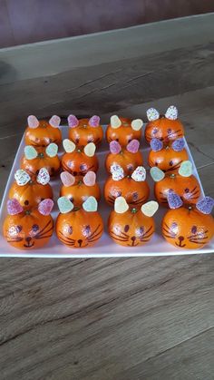 there are many pumpkins that have been decorated to look like cats with hearts on them