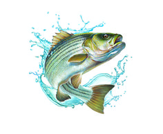 a drawing of a fish with water splashing on it's back and side