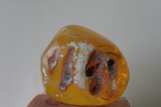 a close up of a piece of fruit on a wooden stand with white wall in the background