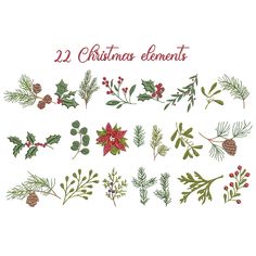 twelve christmas elements with holly, mist and pine cones