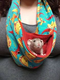 a woman wearing a scarf around her neck with a small animal in it's pocket