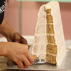 a person cutting a cake with a knife