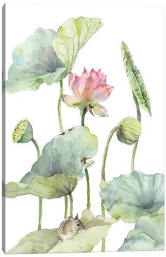 Lotus Flower Art, Lotus Painting, Lotus Art, Art Details, Watercolor Floral Print, Watercolor Flower Art, Pink Lotus, Lotus Flowers, 수채화 그림