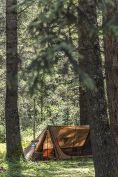 a tent pitched up in the middle of a forest surrounded by tall trees and grass