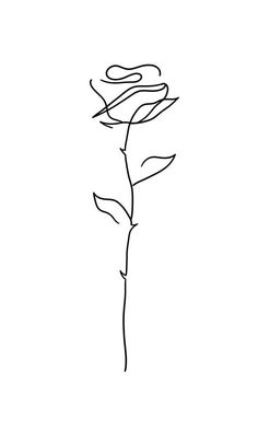 a drawing of a single rose on a white background