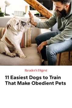 These well-behaved and intelligent pups are the easiest dogs to train, making their transition to your home that much smoother. Cutest Small Dog Breeds, Easiest Dogs To Train, Group Of Dogs, Afghan Hound, Lab Puppies, Border Terrier, Basset Hound, Family Dogs, Pet Parent