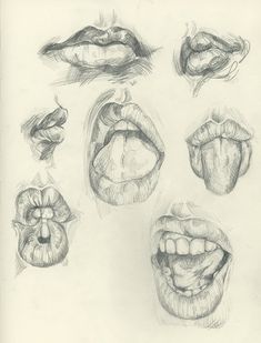 a pencil drawing of various mouths and lips with different angles to the mouth, nose, tongue