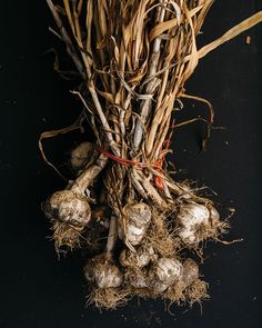 some very pretty looking bunches of garlic on a black surface