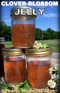 three jars filled with jelly sitting on top of a wooden table next to green leaves