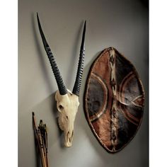 We've long admired the African savanna trophies hung on the richly paneled walls of British manors. Add nature's artwork to your own walls with our trophy cast directly from a sun-bleached African animal skull. With majestic horns and natural beauty, cast in two-toned designer resin, this replica pays homage to this swift, sure-footed animal. Ships in 3 pcs. 16inchWx6inchDx37inchH. 8 lbs. Size: Dimensions: 16.5inchWx6inchDx37inchH 8 lbs..  Color: Multicolor. British Drawing, Safari Theme Bedroom, Antelope Skull, Mancave Garage, Paneled Walls, Garage Diy, African Savanna, African Wall Art, Animal Skull