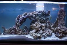 an aquarium filled with lots of different types of rocks and corals in the water