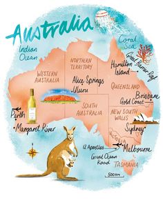 an illustrated map of australia with kangaroos, wine bottles and other things on it