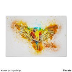 a painting of a colorful bird with wings spread out on a white background in a black frame