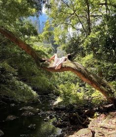 a woman laying on top of a tree branch over a stream in the woods next to a forest