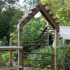 an outdoor garden area with various plants and wooden structures, including a gate to the back yard