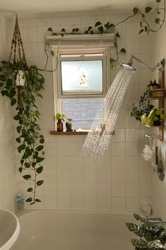 a shower head in the middle of a bathtub with plants hanging from it's sides