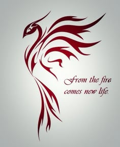 a red bird with the words from the fire comes now life