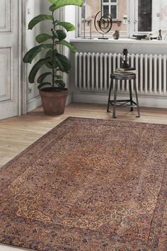 a living room with a large rug on the floor and a potted plant in the corner