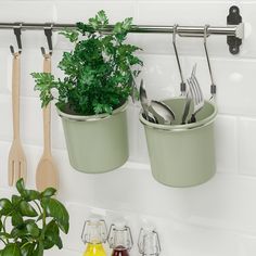 two potted plants are hanging on the wall with utensils and spoons