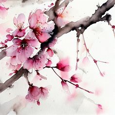 a watercolor painting of pink flowers on a tree branch with white background and brown branches