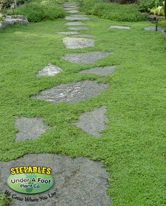 there is a stone path in the grass