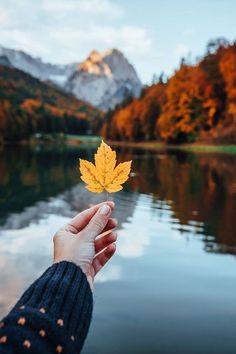 a person holding a leaf in front of a body of water with mountains in the background