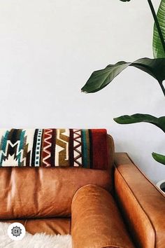 a brown leather couch sitting next to a green plant on top of a white rug