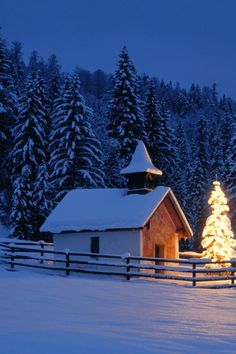 a christmas tree is lit up in front of a snowy cabin with a fence and snow covered trees