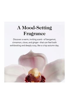 This clean intimate oil has a revolutionary texture: It’s a plush oil-jelly that sinks into skin, moisturizes, and adds just the right amount of slip. It does not drip onto sheets, and it is never sticky. The time-tested aphrodisiac botanicals saffron and goji - plus aromatic cinnamon, clove, and ginger - help set the mood. Smooth it onto your body or a partner’s for massage, sexual exploration, and play. It’s great for vulvas, thighs, nipples, penises, the whole body. Note: Like all oil-based products, Sex Oil is not compatible with condoms..  Vegan and cruelty-free, Free of silicones, formaldehydes, parabens, phthalates, or synthetic fragrance.  Saffron and Goji Seed Oil is a known aphrodisiac.  Naturally derived functional fragrance blend of bergamot, clove, and ginger.  60ml/ 2 oz.  Us Whole Body, Seed Oil, Cruelty Free, Jelly, Moisturizer