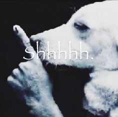 a polar bear with the words shhlh on it's face and hands