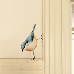 a blue and white bird painted on the side of a wall