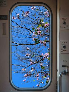 the view from inside an airplane window looking at trees with pink flowers on them and blue sky in the background