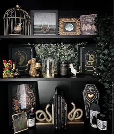 shelves with books, pictures and other decorative items